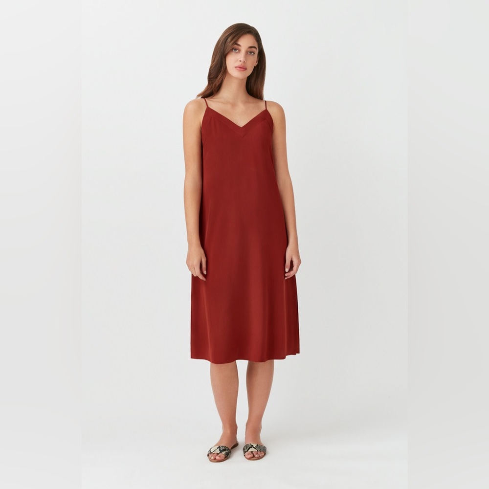 Cuyana Silk Slip Dress- Dark Rust